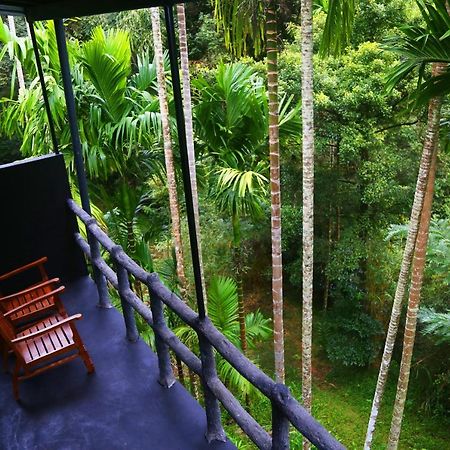 Cool Garden Belihuloya 贝里胡罗亚 外观 照片